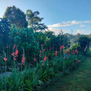 Φωτογραφία από το άλμπουμ του Saint Joseph Inn σε Sagada