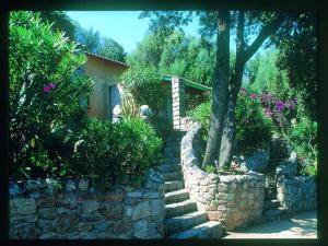 un mur en pierre avec un arbre et un escalier en pierre dans l'établissement Thalassa, à Sainte-Lucie de Porto-Vecchio