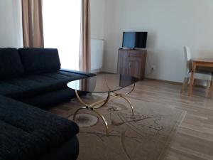 Televízia a/alebo spoločenská miestnosť v ubytovaní Apartmány ORAVA-EDDA