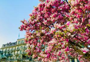 沃韦Hôtel Des Trois Couronnes & Spa - The Leading Hotels of the World的相册照片