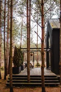 a small black cabin in the woods with trees at Domek SzumiSosna1 in Raków +29 photos
