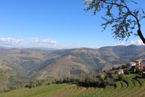 a view of a valley with mountains in the background at Carmo guestroom in Tabuaço