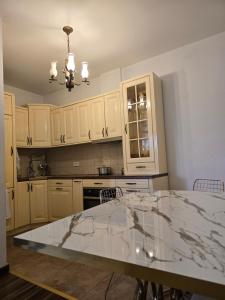 Kuchyň nebo kuchyňský kout v ubytování Ana Apartament