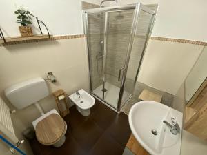 un bagno con doccia, WC e lavandino di Salcasavacanze a Castelletto sopra Ticino