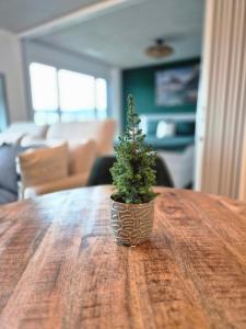 TV a/nebo společenská místnost v ubytování Luxury Home JuNa