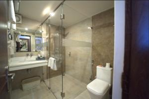 德拉敦Hotel JSR Continental的带淋浴、马桶和水槽的浴室