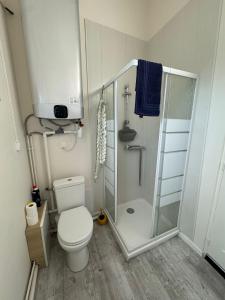 a small bathroom with a toilet and a shower at La Maison du Chapron - Jaunay Marigny - Futuroscope in Jaunay-Marigny +93 photos
