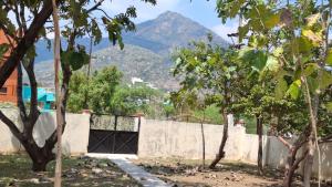 a gate in a wall with a mountain in the background at Ashwin Home Stay 2 in Tiruvannāmalai