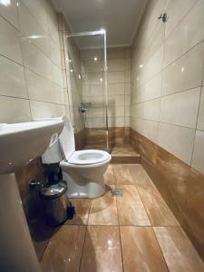 a bathroom with a toilet and a sink at cozy studio apartments in Moraitika