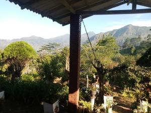 Gallery image of Knuckles View Holiday Home in Etagama