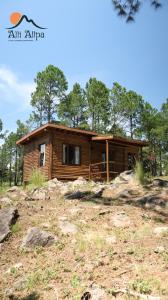 a log cabin on a hill with trees at Alli Allpa Finca y Cabañas de Montaña in Villa Yacanto