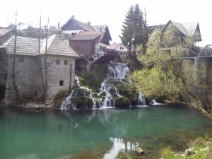 Príroda v okolí penziónu