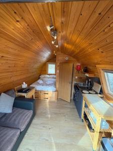 a room with a couch and a bed in a cabin at Conifer Cabins in Fort William