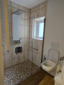 a bathroom with a shower and a toilet at Il Baitone 1 in Minusio