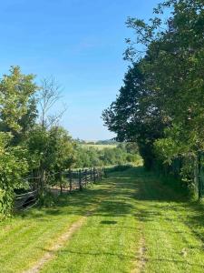 a field of grass with trees and a dirt road at Quiet house near Disneyland in Quincy-Voisins +3 photos