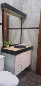 a bathroom with a sink and a toilet at Suíte privativa em casa de família - ENTRADA INDEPENDENTE - a tranquilidade - conforto e privacidade que vc procura - super limpinha com cozinha em BARÃO GERALDO- perto de tudo e sossego total in Campinas