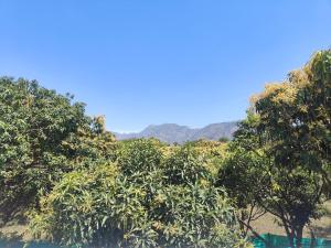 酒店周边自然景观