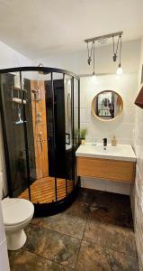 バイヨンヌにあるT2 au coeur de Bayonneのシャワー、洗面台、トイレ付きのバスルーム