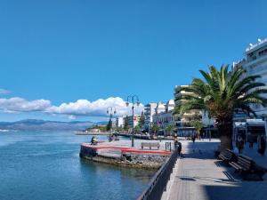 a street with trees and buildings next to a body of water at Olga apartment in Chalkida