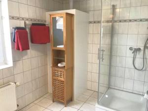 a bathroom with a shower and a mirror and a sink at Krischan - ruhige FeWo mit Garten, nur 5 km zum Strand in Bönstrup +21 photos