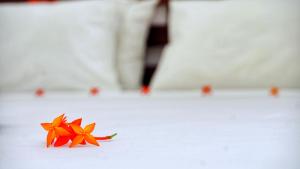 Letto o letti in una camera di Sigiriya Dreamscape Villa