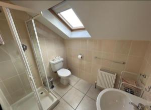 a bathroom with a toilet and a sink and a skylight at Nellie's Village Stay in Beaufort +29 photos
