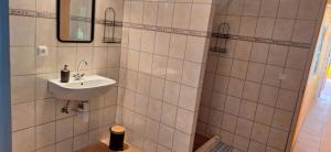 a bathroom with a sink and a shower at Charming farmhouse in Poroszl in Hungary on the Tisza Lake in Poroszló