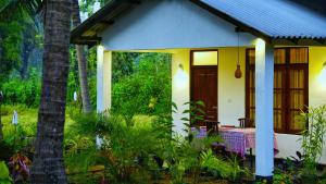 Giardino di Sigiriya Dreamscape Villa