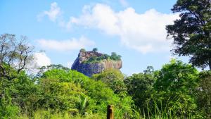 Paesaggio naturale nelle vicinanze del bed & breakfast