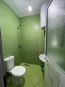 a green bathroom with a toilet and a shower at Arditi Apartment in Lezhë