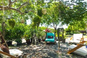 Afbeelding uit fotogalerij van Green Cottage #1 Pitahaya in Cabo Rojo +46 foto's