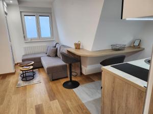 迪瓦伊巴雷Apartman 22 Divčibare的带沙发和桌子的客厅