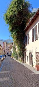 un arbre est suspendu au-dessus d'une rue pavée dans l'établissement Apartment B4 in the center of Rome WiFi and AC, à Rome
