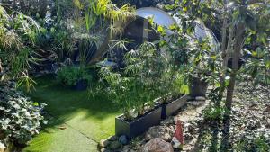 Κήπος έξω από το Le Phoenix de la Palmeraie +8 φωτογραφίες