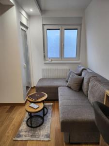 迪瓦伊巴雷Apartman 22 Divčibare的带沙发和桌子的客厅