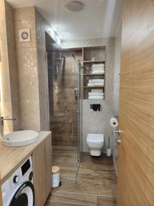 Apartman 22 Divčibare的一间浴室