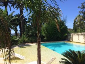 a palm tree sitting next to a swimming pool at La Mandarinette in La Seyne-sur-Mer