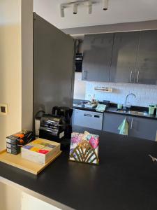 a kitchen with a black counter top with boxes on it at Strelitzyahouse in Brussels