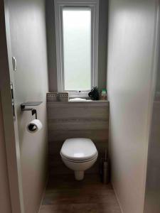 a bathroom with a toilet and a window at Mobile home domaine de la forge in La Teste-de-Buch +9 photos