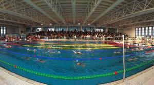 Swimmingpoolen hos eller tæt på Fidelis Ostia 1