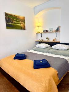 Posteľ alebo postele v izbe v ubytovaní Apartmány Nerudova 36
