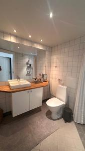 a bathroom with a toilet and a sink at Løvstræde apartments from 1 to 6 in Copenhagen +220 photos