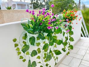 Zahrada ubytování BLE, Oneiropagida, Aegina