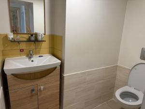 a bathroom with a sink and a toilet at Room for rent at Centre, Riga in Riga
