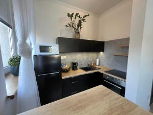Kuchyň nebo kuchyňský kout v ubytování Bella Apartment Ostrava
