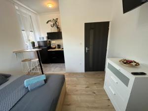 Kuchyň nebo kuchyňský kout v ubytování Bella Apartment Ostrava