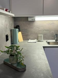 Φωτογραφία από το άλμπουμ του Cozy flat in the heart of Bergen στο Μπέργκεν