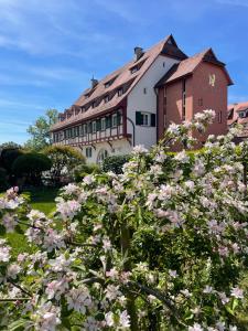 Aed väljaspool majutusasutust SeeHotel Amtshof