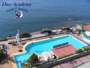a bird flying over a swimming pool next to the ocean at Beach Apartment Arguineguin in Arguineguín