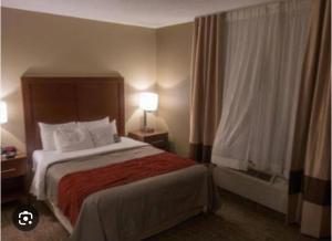 Gallery image of Dynasty Hotel and Suites in Uyo